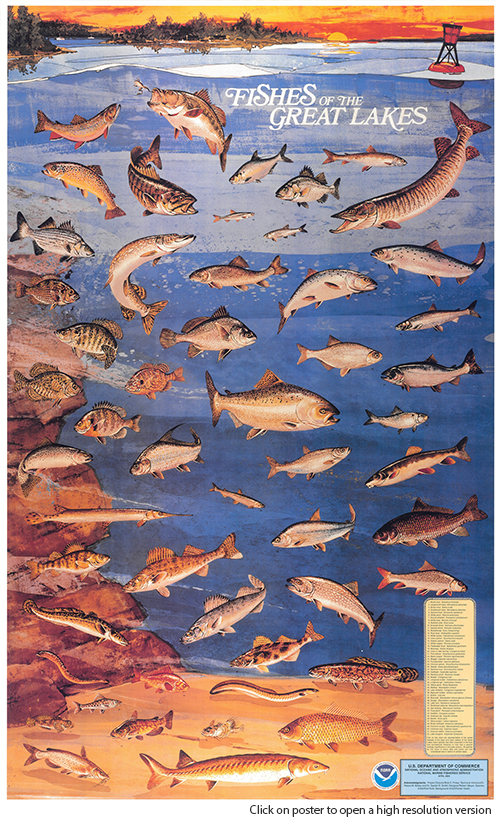 types of fish in lakes