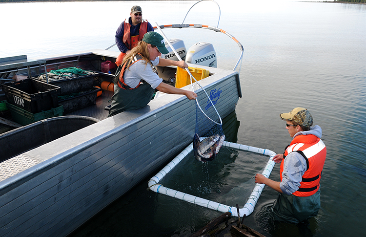 Great Lakes Fishery Commission - Attention parents & teachers! The