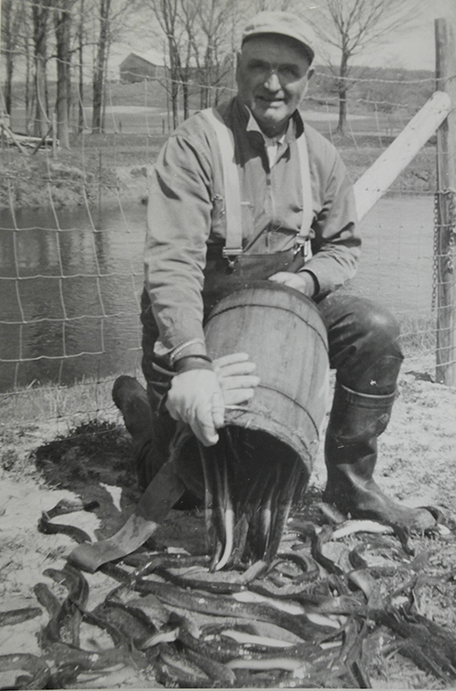 The Evolution of Great Lakes Commercial Fishing Vessels & Gear - A Brief  Overview - Great Lakes Fisheries Heritage Trail