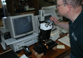 Using High Powered Microscope to Examine Coded Wire Tags