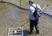 Sea Lamprey Assessment using Mobile Antenna