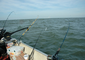 Recreational Fishing Gear